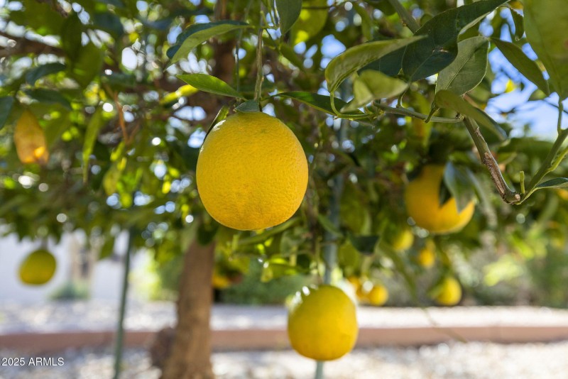 62-web-or-mls-_TM_3216