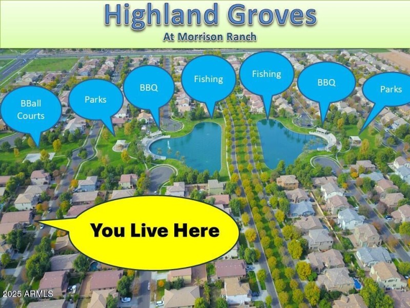 You Live Here