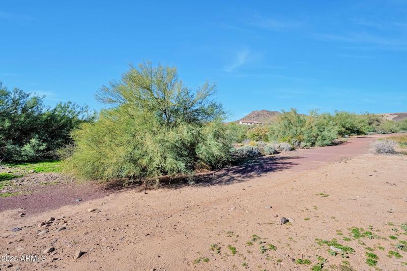 27278N77thAve_WS (24)