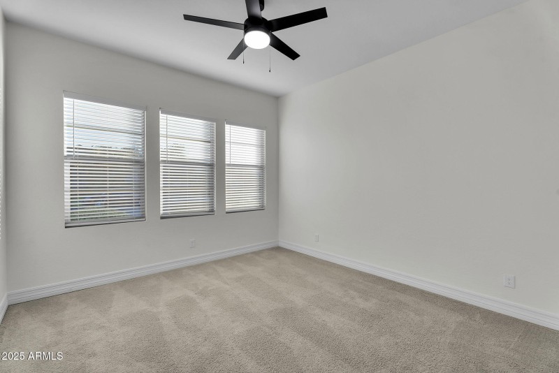 46-web-or-mls-Arabian-40