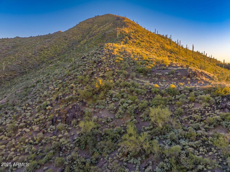 Golden Hour Photos (5)