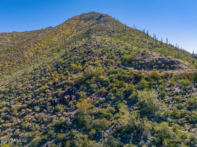 Revised Daytime Photos (5)