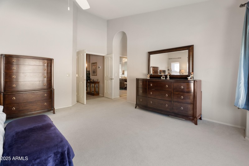 Primary is plentiful!