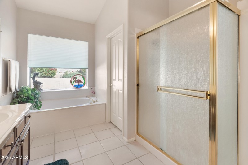 Garden tub and Shower