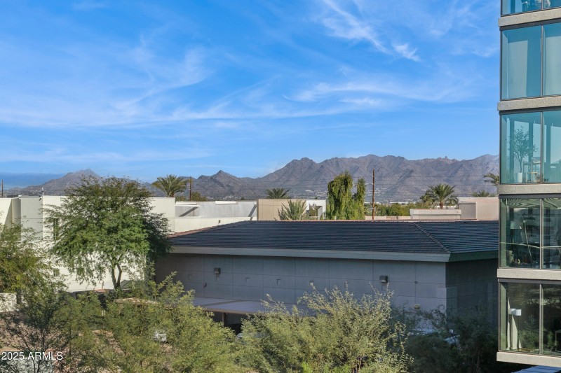 Views of the McDowell Mountains