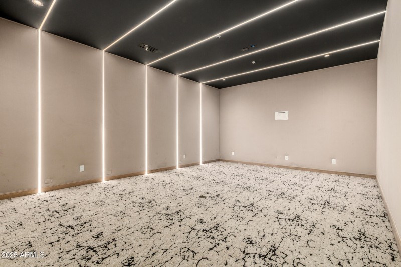 Theater/Golf Simulator