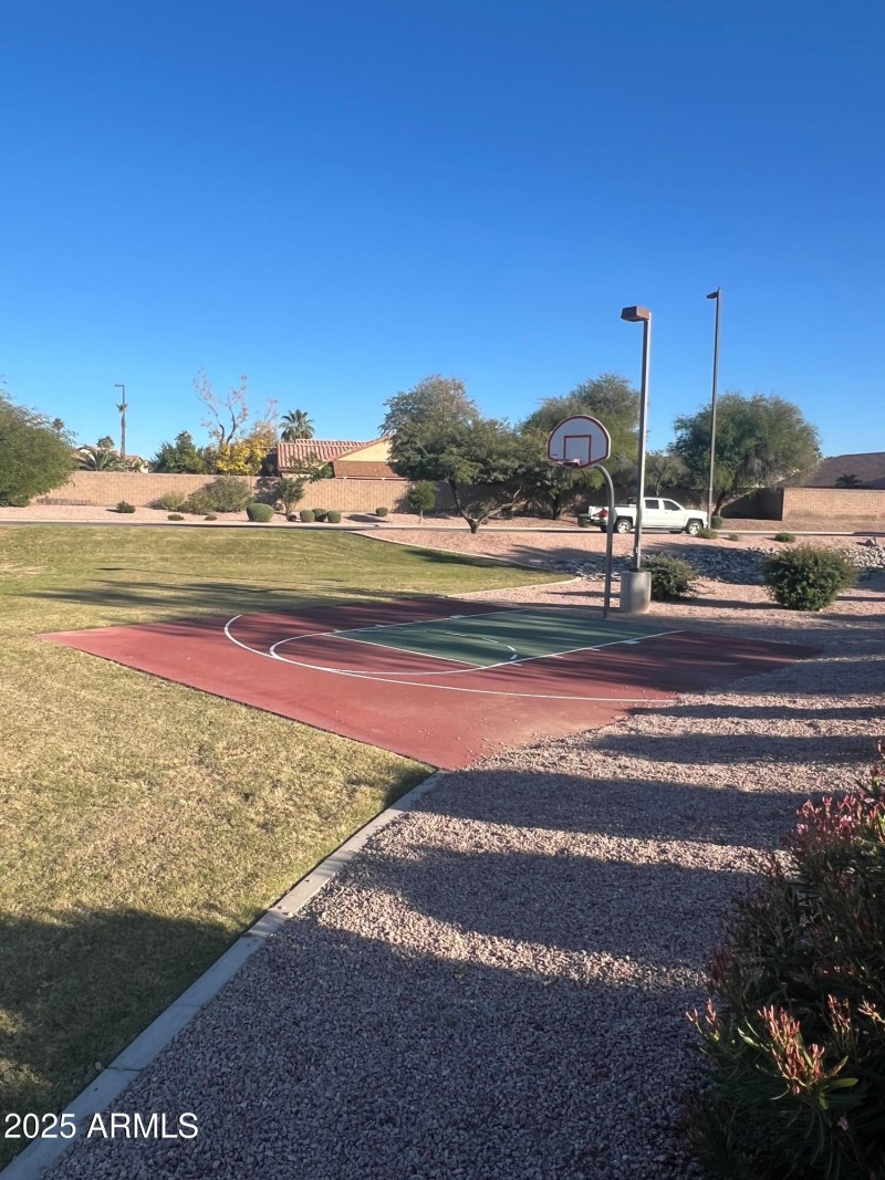 Large Park basketball court