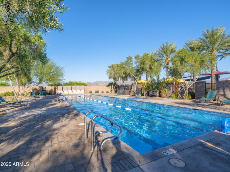 Laps anyone?