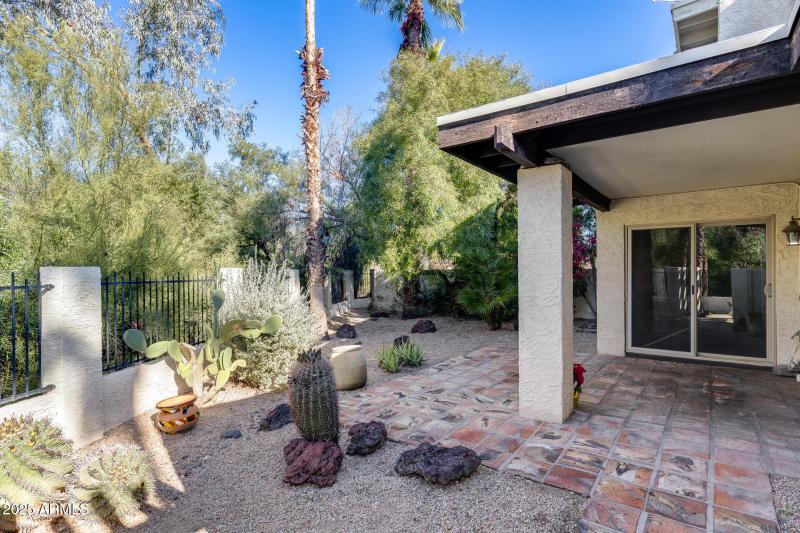 Back Patio / Backyard