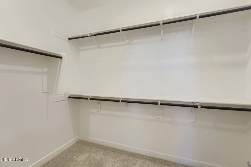 Owners Walk in Closet