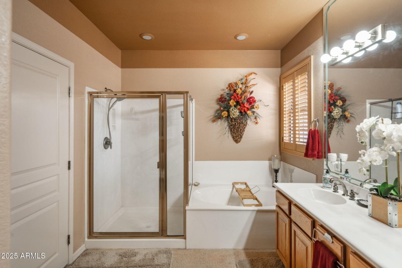 18-web-or-mls-1716-alpine-meadows-ln-110