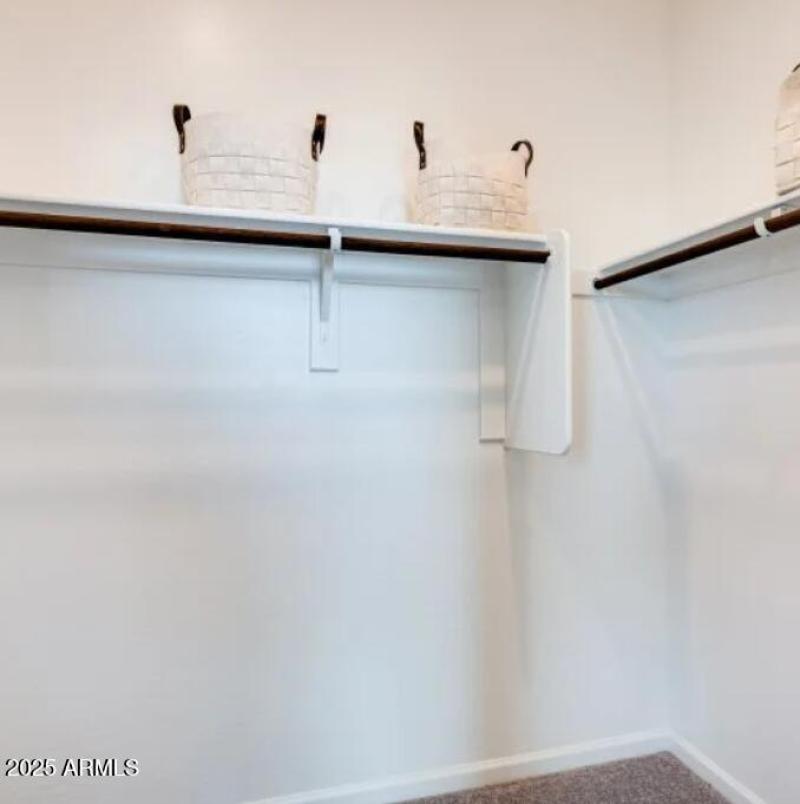 Owners Walk in Closet