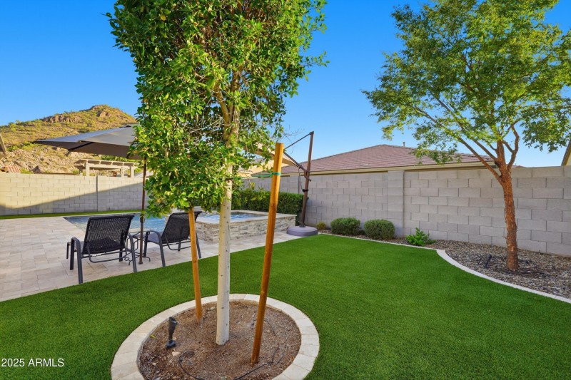 Backyard Mountain View