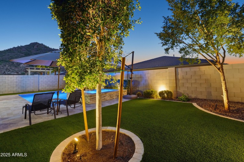 Backyard Mountain View