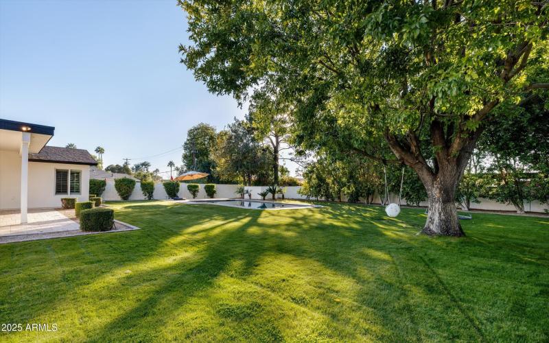 Large Grassy Bathroom
