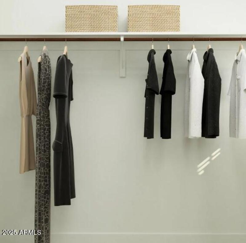 Owners Walk in Closet