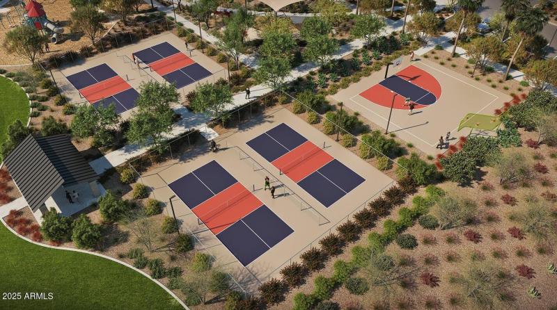 Pickleball Court