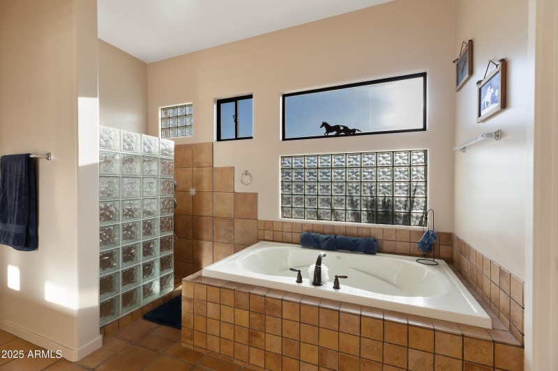 Primary Tub and Walk-in Shower