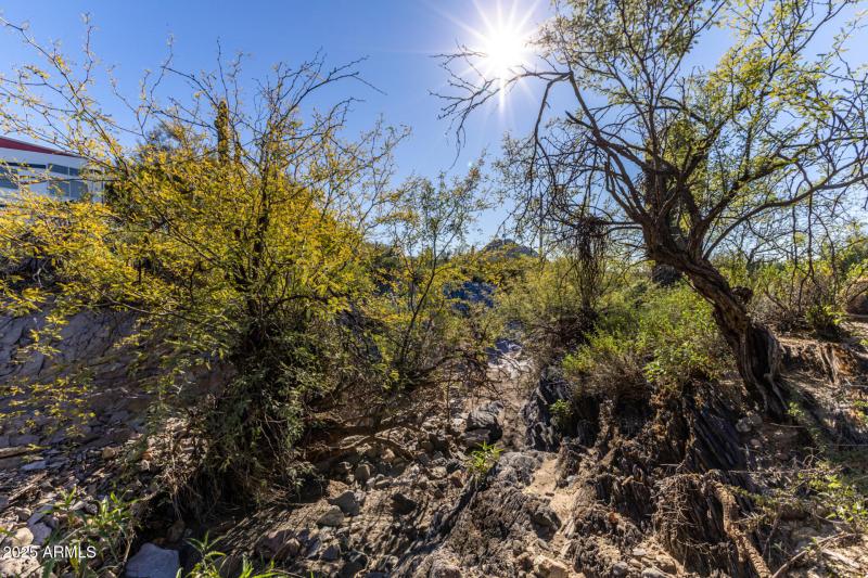 48822 N ROUGHRIDER RD