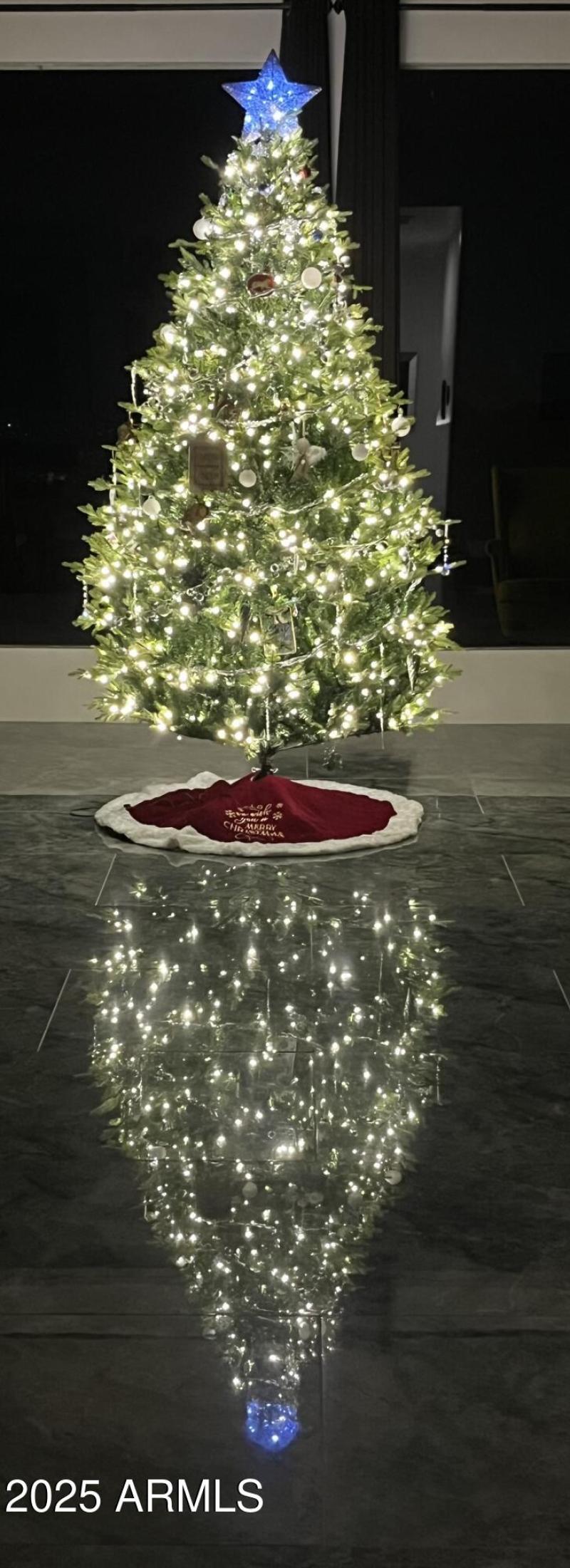 Holiday Reflections~