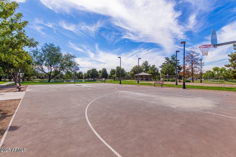 Basketball court