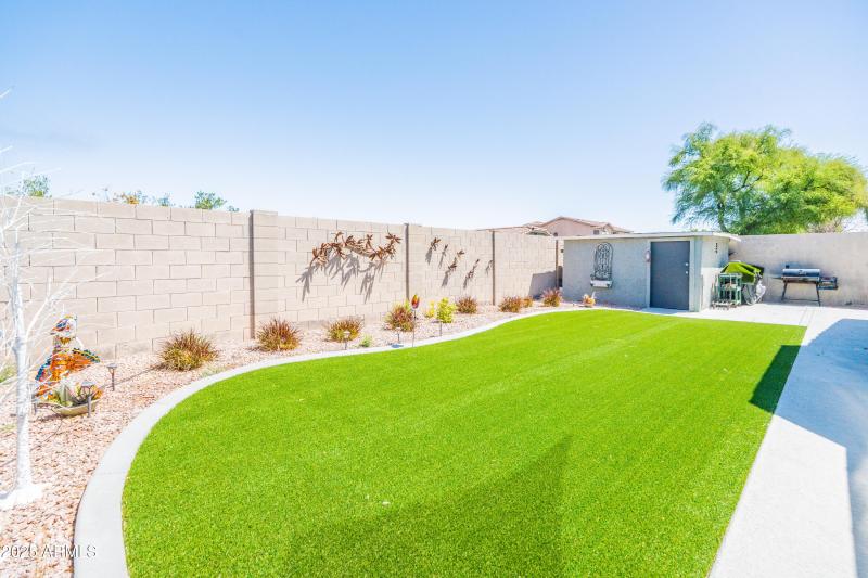 Low Maintenance Turf