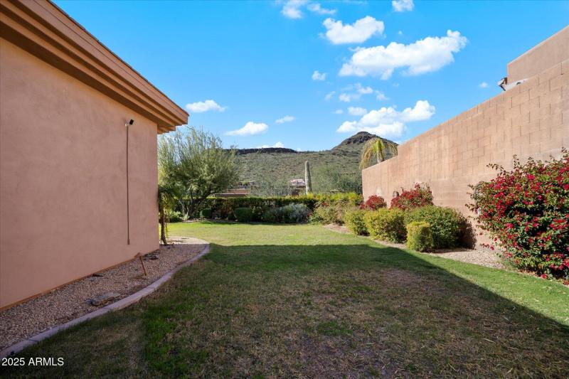 Lush Lawn for Play & Pets