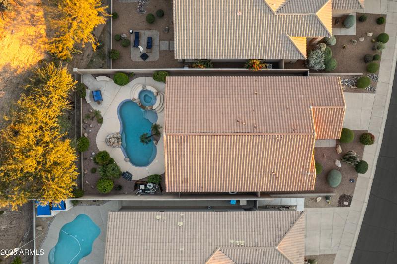 9811 N Desert Rose Dr-44