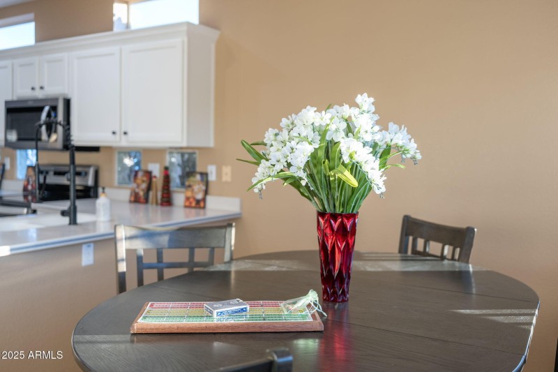 23203 N Via De La Caballa - 22