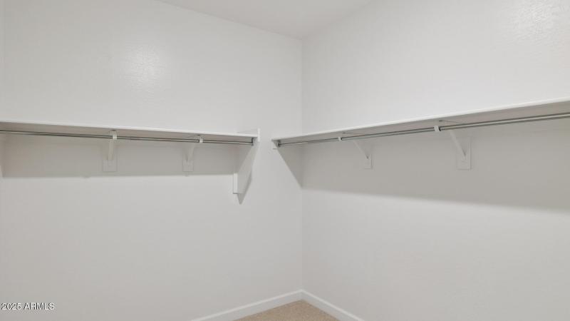 3985_Phoenician_Lot 2078_Aloravita_Peori