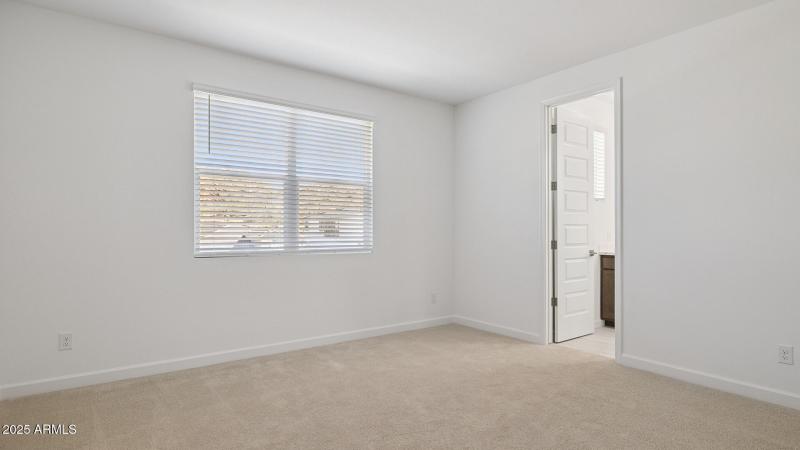 3985_Phoenician_Lot 2078_Aloravita_Peori