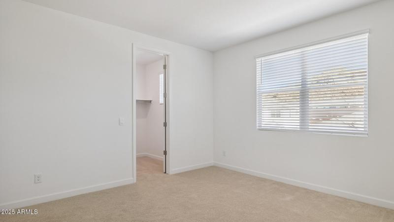 3985_Phoenician_Lot 2078_Aloravita_Peori