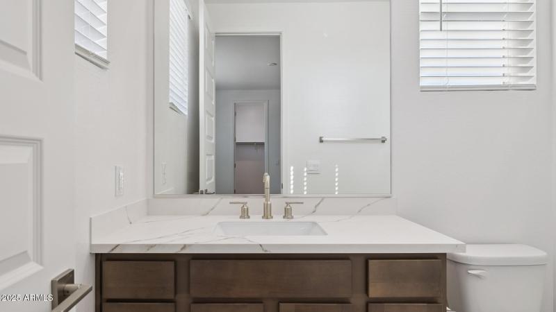 3985_Phoenician_Lot 2078_Aloravita_Peori