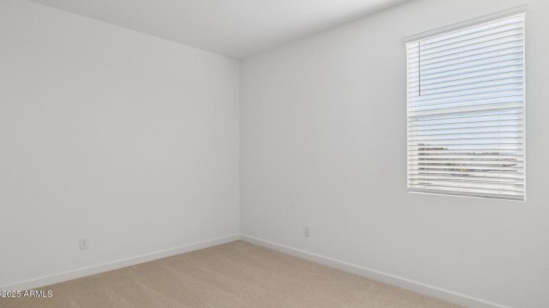 3985_Phoenician_Lot 2078_Aloravita_Peori