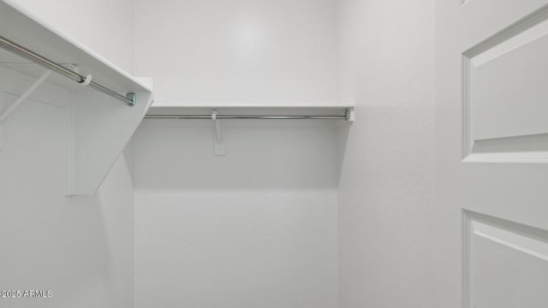 3985_Phoenician_Lot 2078_Aloravita_Peori