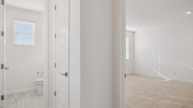 3985_Phoenician_Lot 2081_Aloravita_Peori