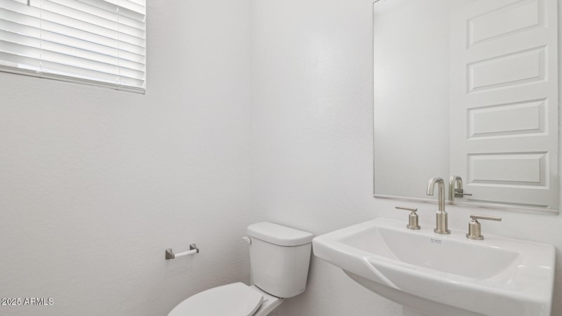 3985_Phoenician_Lot 2081_Aloravita_Peori