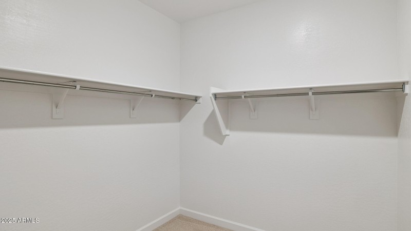 3985_Phoenician_Lot 2081_Aloravita_Peori