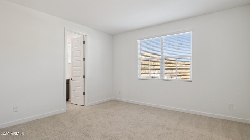 3985_Phoenician_Lot 2081_Aloravita_Peori