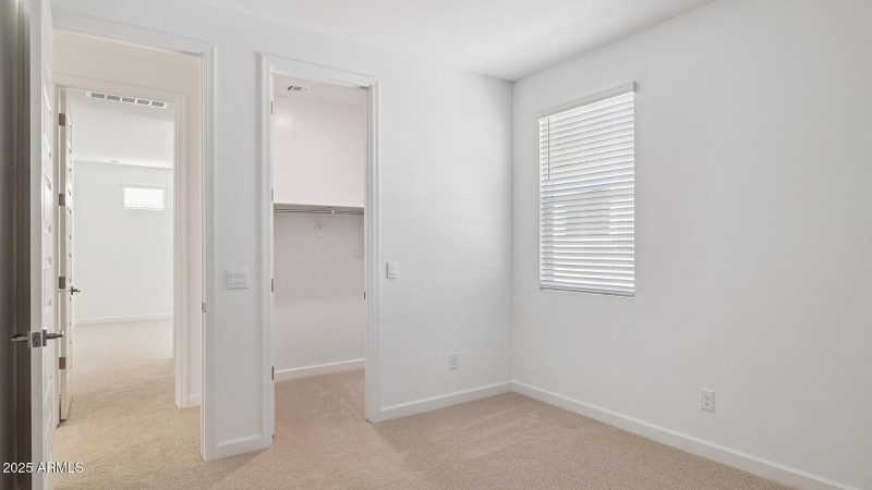 3985_Phoenician_Lot 2081_Aloravita_Peori