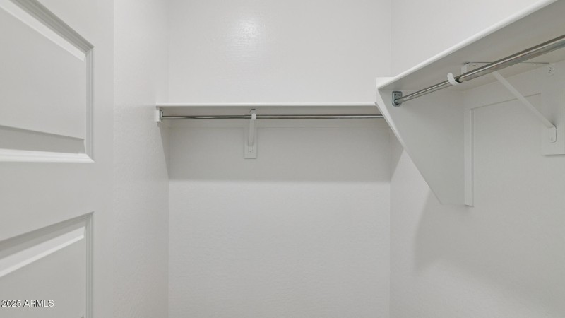 3985_Phoenician_Lot 2081_Aloravita_Peori