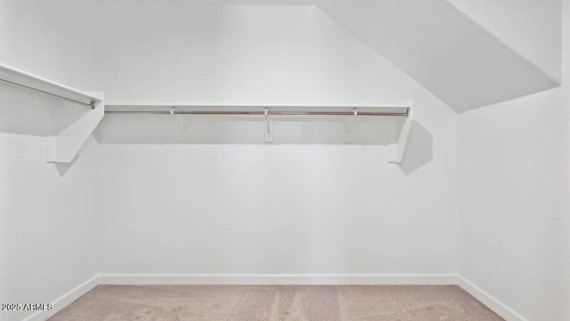 Ozark primary closet