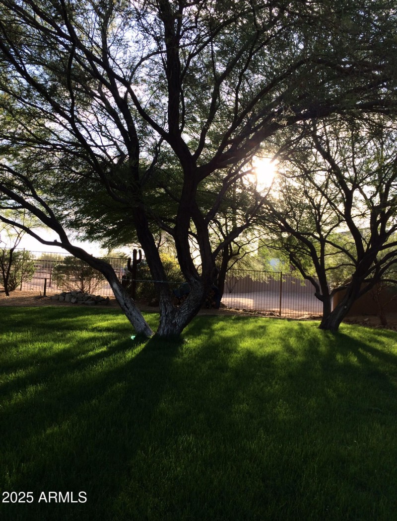 7E0474CD-DFF5-4B0F-9DAC-473065FF9E63