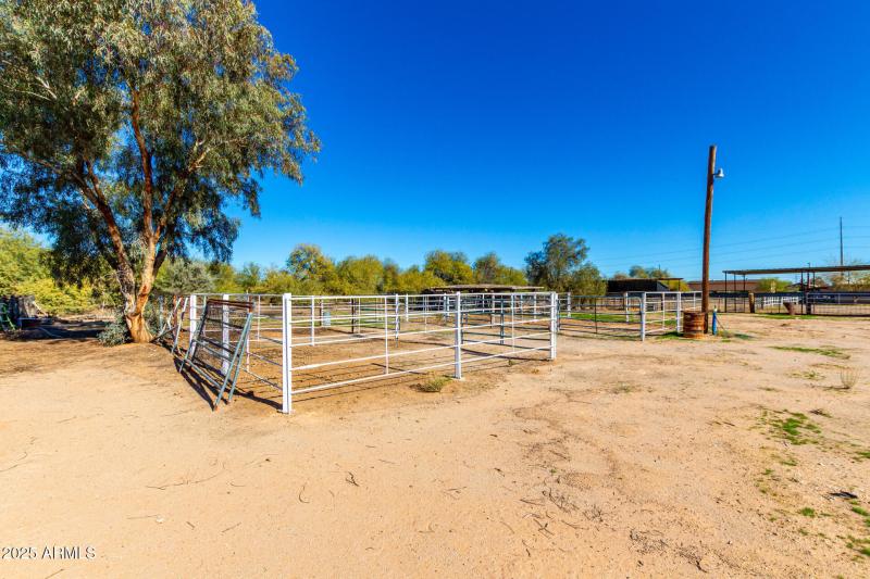 Stalls with Water and Utilities