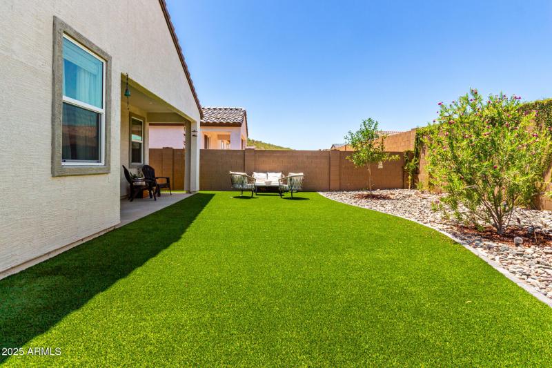 New Turf, Rock, Plants