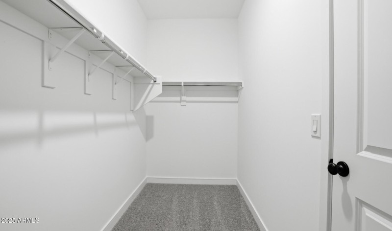 MR Lot #4 Primary Closet (Large)