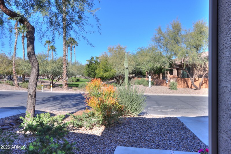 Pocket park across the street