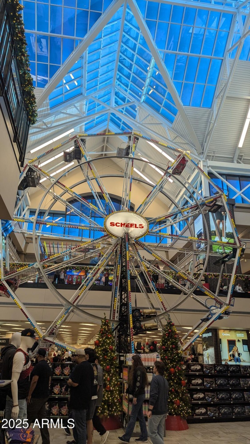 scheels 1