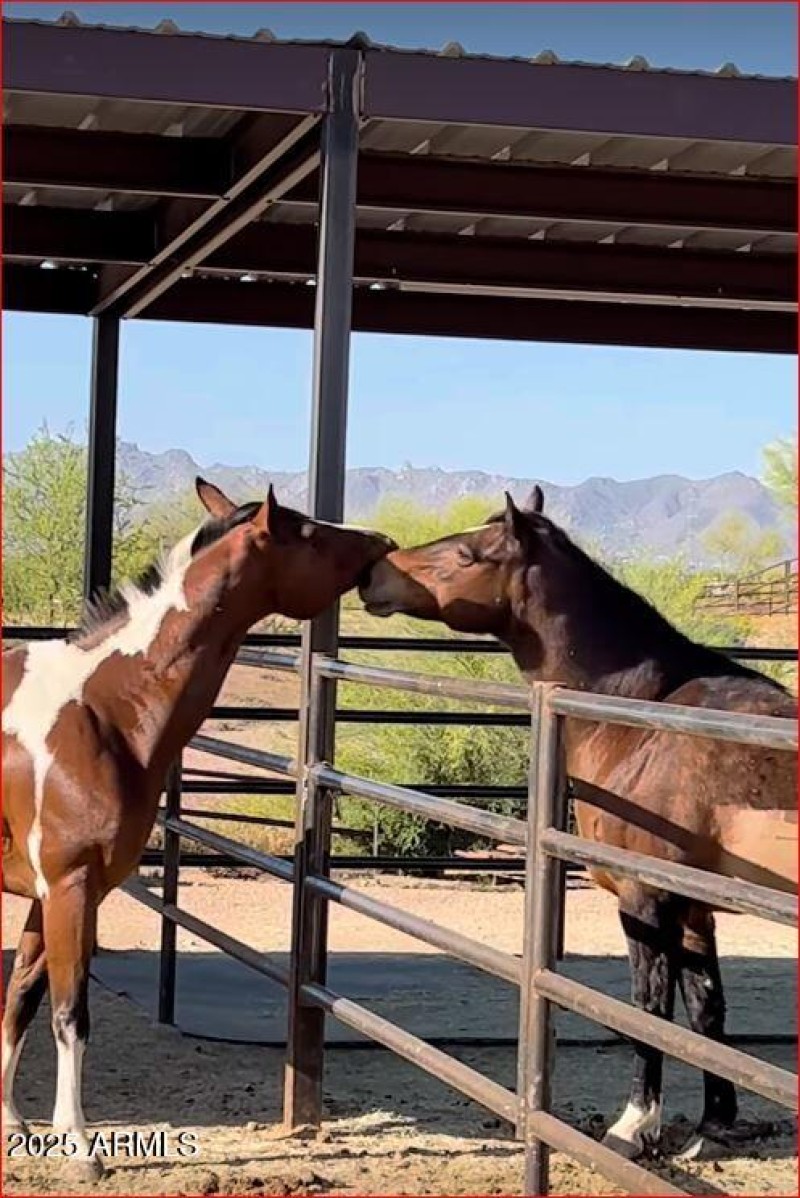 Enjoying their new pens