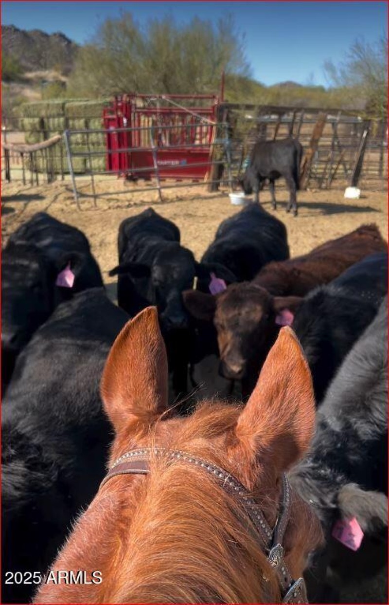 Gettin' ready for a sorting competition